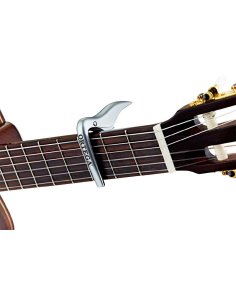 ORTEGA OCAPO-CR 2