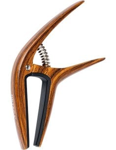 ORTEGA TWCAPO-WND