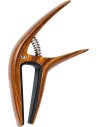 ORTEGA TWCAPO-WND