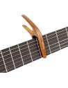 ORTEGA TWCAPO-WND