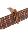 ORTEGA OCAPOCV-WND