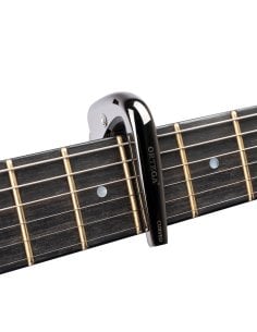 ORTEGA TNCAPOCV-BCR
