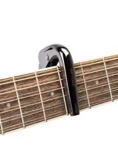 ORTEGA TNCAPOCV-BCR 2