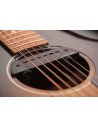 SEYMOUR DUNCAN SA-6 MAG MIC ACOUSTIC SYSTEM