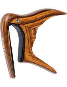 ORTEGA OCAPO-WND