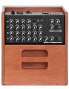 ACUS ONE FORSTRINGS 5 FERDI WOOD