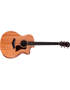 TAYLOR 24CE