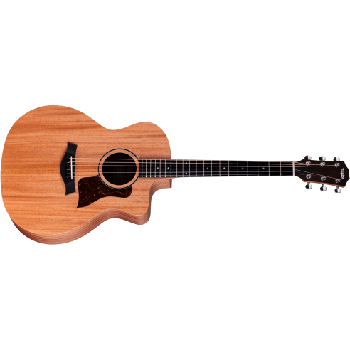 TAYLOR 24CE