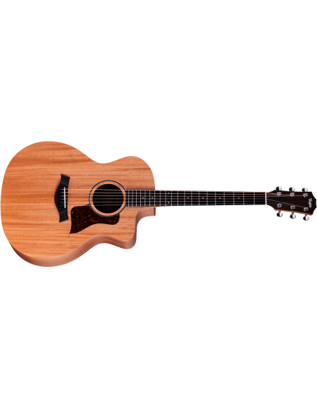 TAYLOR 24CE