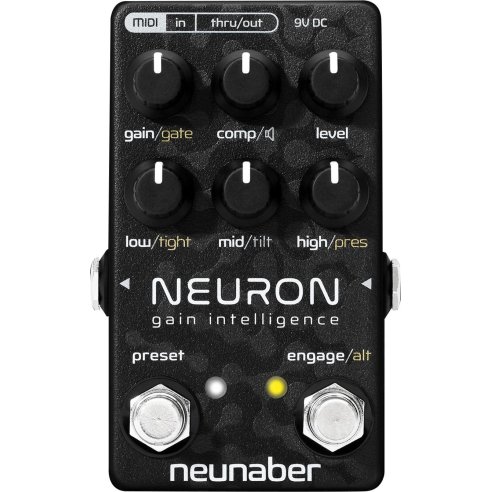 NEUNABER TECHNOLOGY NEURON