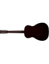 GRETSCH LTD JIM DANDY PARLOR SOLID TOP BRST