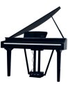 ECHORD GP-10/B DIGITAL PIANO NERO