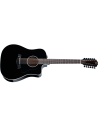 TAYLOR 250ce-BLACK PLUS