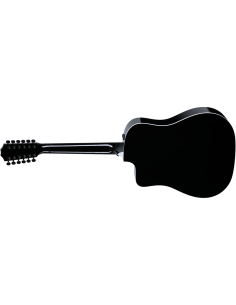 TAYLOR 250ce-BLACK PLUS 2