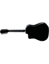 TAYLOR 250ce-BLACK PLUS