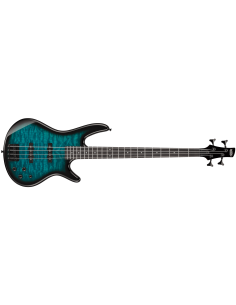 IBANEZ GSR280QA-TMS