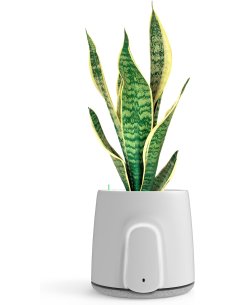 VITESY Vitesy Natede Air Purifiers SMART