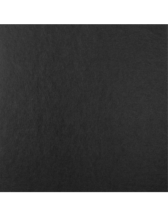 ARTNOVION Ulysses RT - FG | (P0028) Black PET