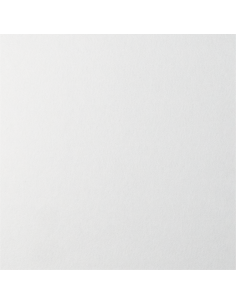 ARTNOVION Ulysses RT - FG | (P0029) White PET