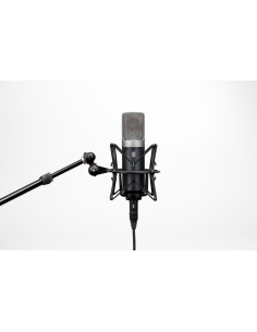 SLATE DIGITAL ML-1A
