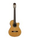 JOSE TORRES JTC-30CE