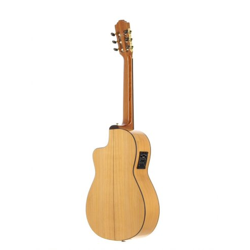 JOSE TORRES JTF-50CE