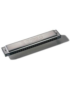 HOHNER BIG VALLEY D 2