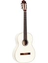 ORTEGA R121SNWH
