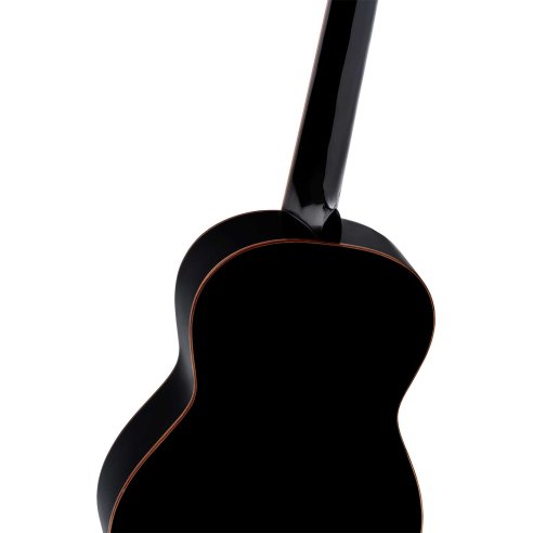 ORTEGA R221BK