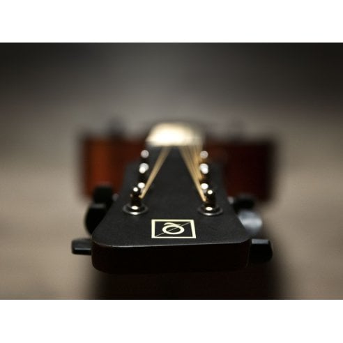 OQAN QGA-100CE SBG (PREAMP)