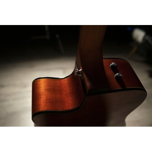 OQAN QGA-100CE SBG (PREAMP)