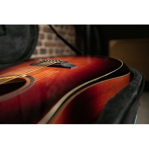 OQAN QGA-100CE SBG (PREAMP)