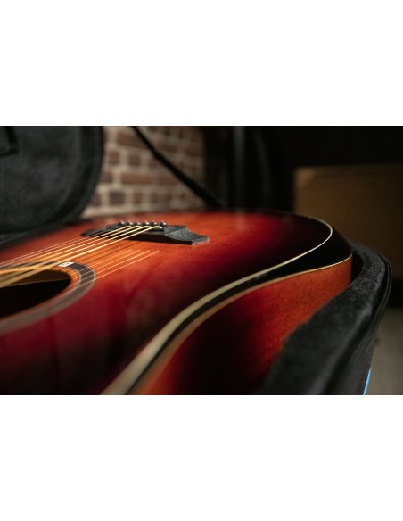 OQAN QGA-100CE SBG (PREAMP) OQAN QGA-100CE SBG (PREAMP)