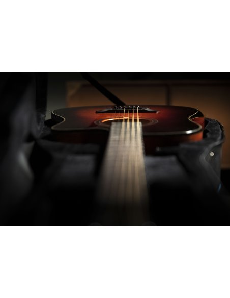 OQAN QGA-100CE SBG (PREAMP)