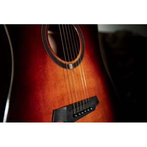 OQAN QGA-100CE SBG (PREAMP)