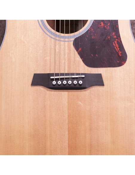 WALDEN WAD550EW CHITARRA ACUSTICA NATURA 500 WALDEN WAD550EW CHITARRA ACUSTICA NATURA 500