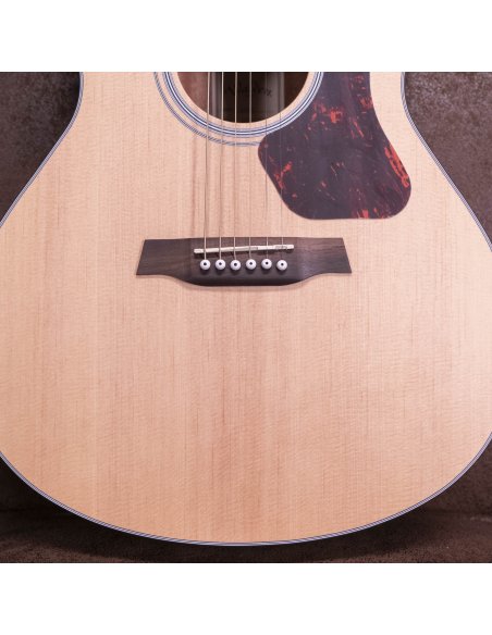 WALDEN WAG550EW CHITARRA ACUSTICA NATURA 500 WALDEN WAG550EW CHITARRA ACUSTICA NATURA 500