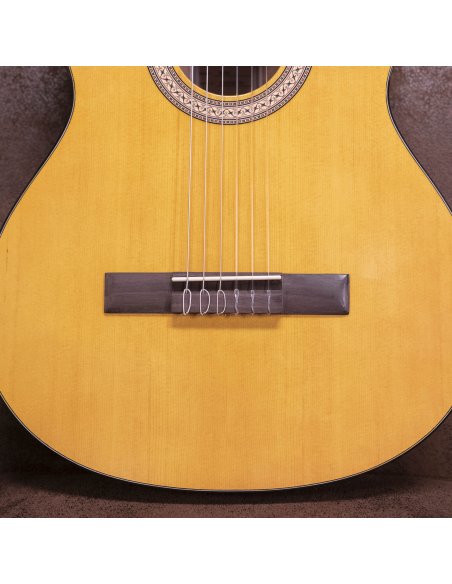 WALDEN WAN450W CHITARRA CLASSICA STANDARD 400 WALDEN WAN450W CHITARRA CLASSICA STANDARD 400