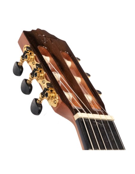 JOSE TORRES JTC-65CE JOSE TORRES JTC-65CE