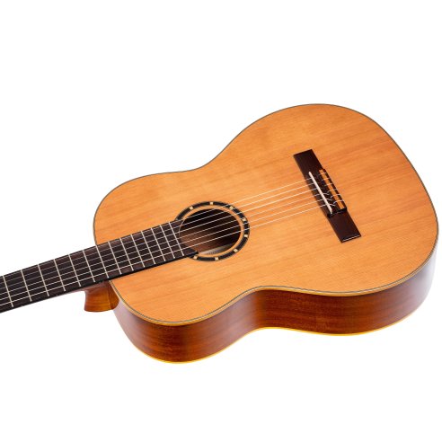 ORTEGA R122G