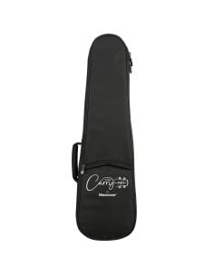 BLACKSTAR CARRY-ON-BASS-GB