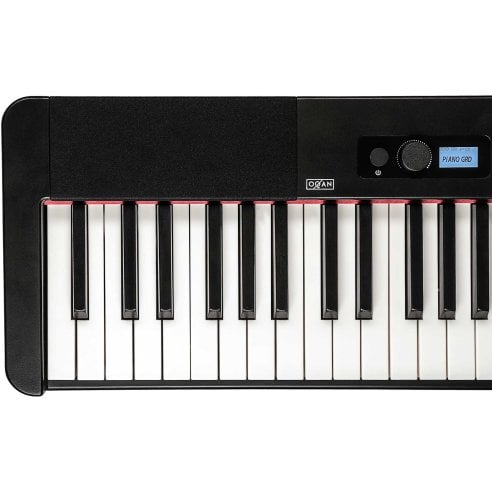 OQAN QP100 DIGITAL PIANO