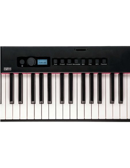 OQAN QP100 DIGITAL PIANO OQAN QP100 DIGITAL PIANO