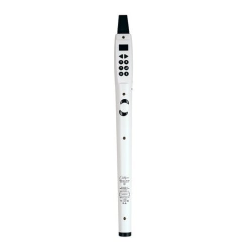 CARRY ON CO-DWI2-WT - DIGITAL WIND INSTRUMENT 2 - BIANCO