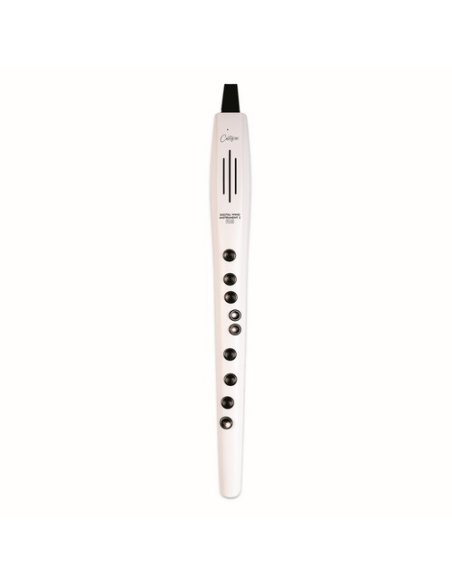 CARRY ON CO-DWI2PLUS-WT - DIGITAL WIND INSTRUMENT PLUS - BIANCO
