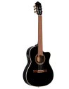 ORTEGA RCE138-T4BK