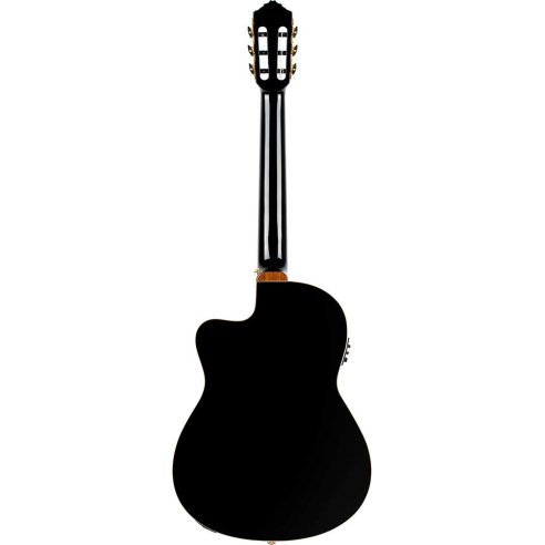 ORTEGA RCE138-T4BK
