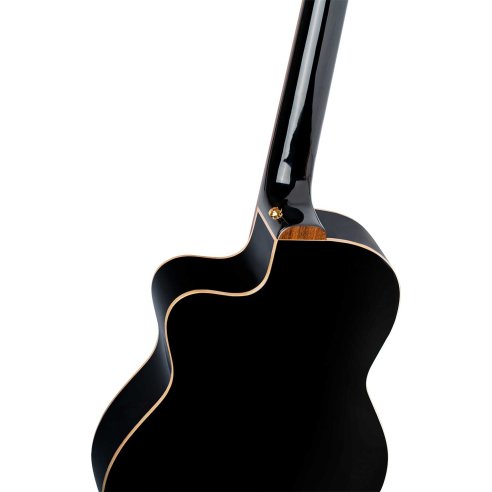 ORTEGA RCE138-T4BK
