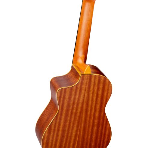 ORTEGA RQ38