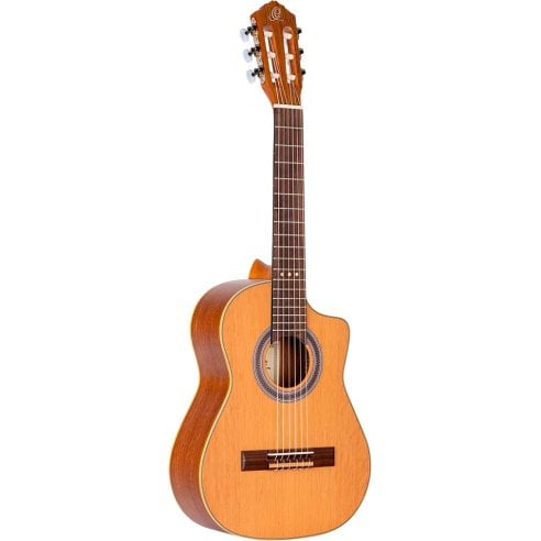 ORTEGA RQ39